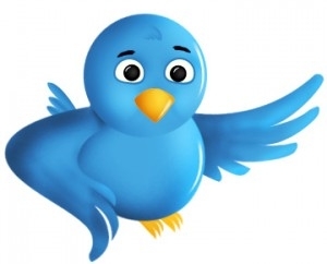 Comment utiliser Twitter ?