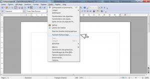 Faire un publipostage avec OpenOffice 2/12